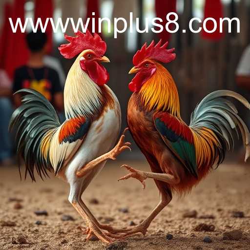 poker heads-up um contra um